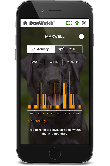 DogWatch Hidden Fence of Knoxville, Knoxville, Tennessee | SmartFence WebApp Image
