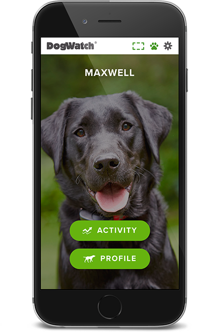 DogWatch Hidden Fence of Knoxville, Knoxville, Tennessee | SmartFence WebApp Image