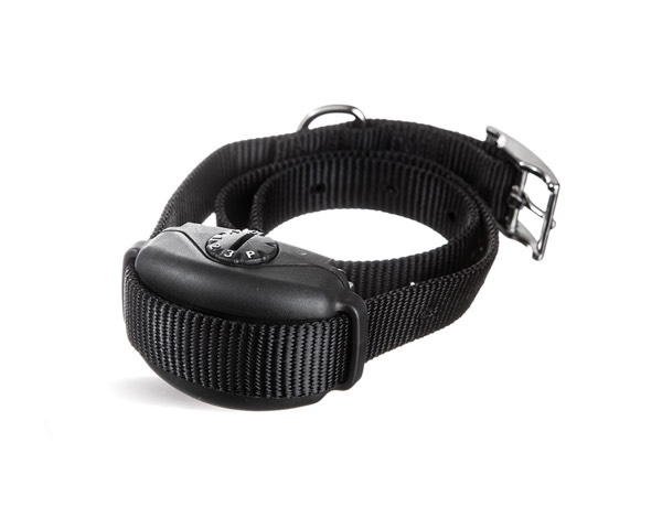 DogWatch Hidden Fence of Knoxville, Knoxville, Tennessee | SideWalker Leash Trainer Product Image